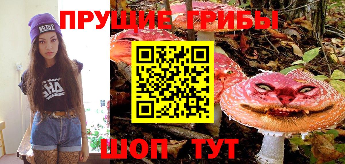 Галлюциногенные грибы Psilocybe Каменск-Шахтинский