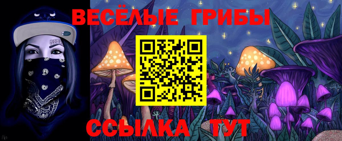 Каменск-Шахтинский  Псилоцибиновые грибы Psilocybe  Вход с VPN 